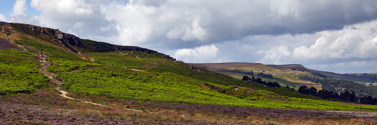 Ilkley moor